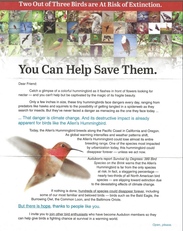National Audubon Society direct mail example